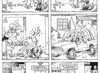 
                                                            گالری کارتون های آراگونز از مکزیک