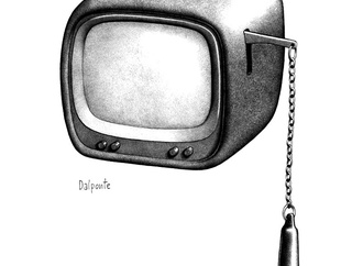 
                                                            paolo dalponte italy 81