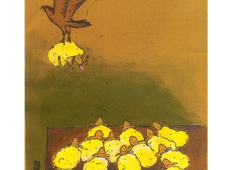 
                                                            majid amini iran