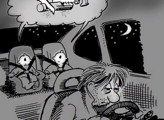 
                                                            klaus pitter austria 6