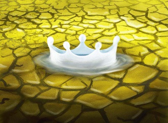 
                                                            young sik oh saout korea 4