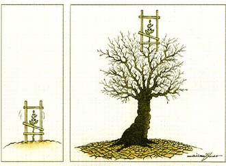 atila_ozer_ turkey_47