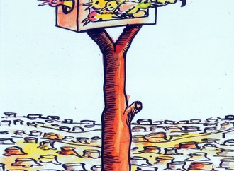 
                                                            azuka nwokocha nigeria