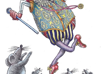 
                                                            lido contemori italy 38