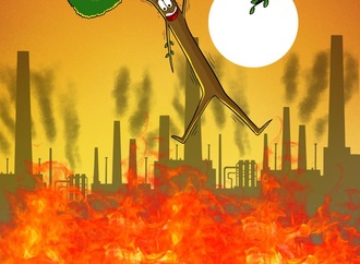 
                                                            ameen alhabarah saudi arabia 12