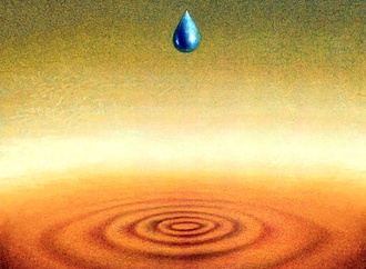 
                                                            muhittin koroglu turkey 46