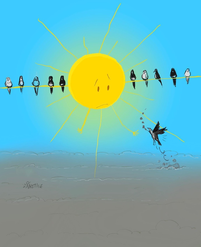 By: علی رادمند