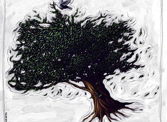 
                                                            fabio magnasciutti italy 14