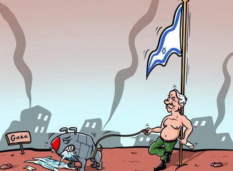 
                                                            morad kotkot palestina 11