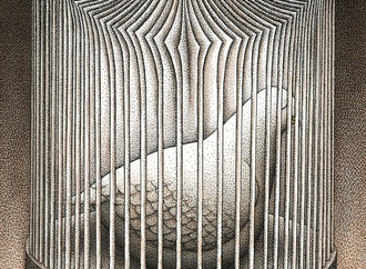 






                                                            محمدعلی خلجی - ایران