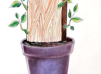 
                                                            ghobad emamifard4 copy