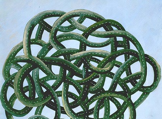 
                                                            shirin gholipour8