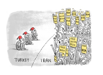 
                                                            mohammadreza doustmohammadi 2