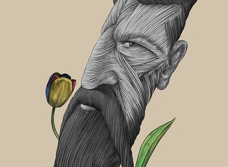 
                                                            aref niazi 10