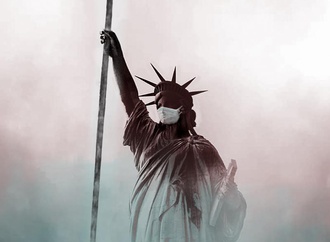 
                                                            luc descheemaeker 11