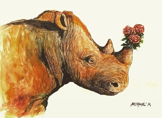 
                                                            murat ahmeti kozovo 43