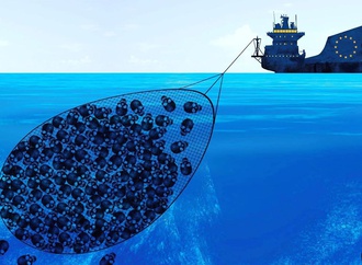 
                                                            vasco gargalo portugal 3