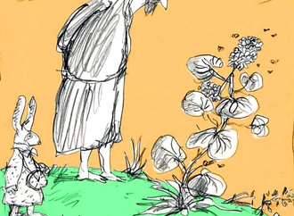 
                                                            daniel maja france 5