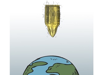 
                                                            roberto netto brazil 14