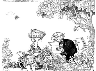 
                                                            quino22