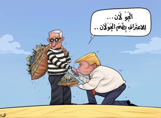 
                                                            fahad bahady81