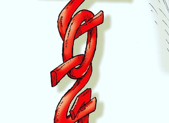
                                                            ercan akyol turkey11