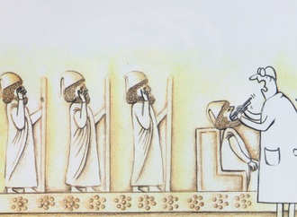 
                                                            masoumeh safaei iran