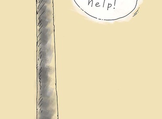 valery momot ukraine 2