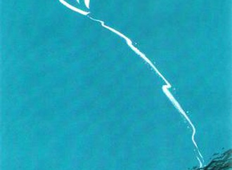 
                                                            eray ozbek turkey 51