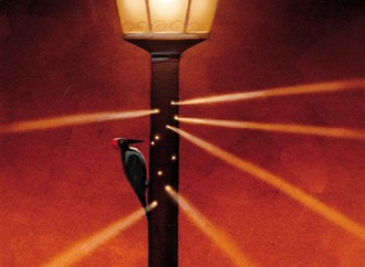 
                                                            andrei popov russia 11