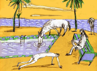 
                                                            daniel maja france 47