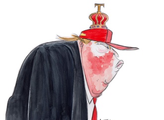 
                                                            ann telnaes sweden 33