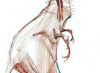
                                                            hamid bahrami iran 37