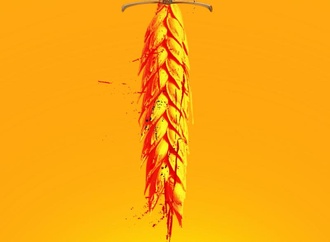 
                                                            zap france 11