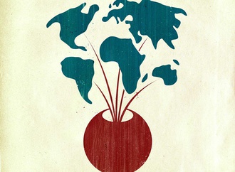 
                                                            joey guidone italy 24