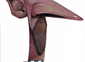 
                                                            pedro silva 8