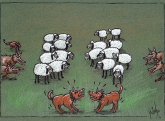 
                                                            mehmet zeber 15