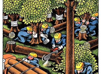 
                                                            valentin druzhinin russia 85