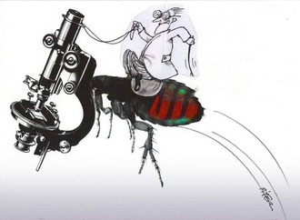 
                                                            klaus pitter 10