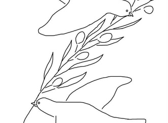 
                                                            aytur sahinbay turkey 26