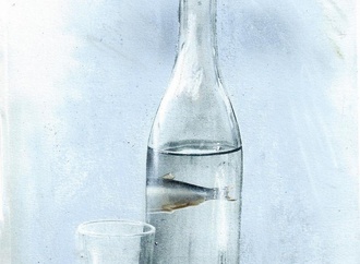 
                                                            luc descheemaeker 52