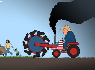 
                                                            tjeerd royaards netherlands 29