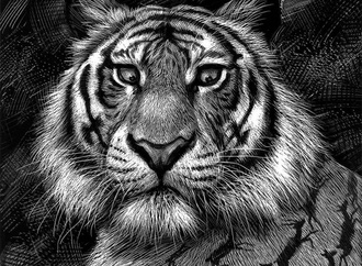 






                                                            ریکاردو مارتینز - شیلی
