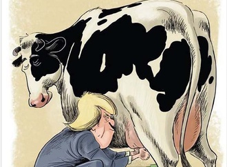 
                                                            mahdi azizi iran 100