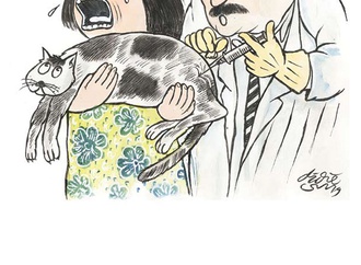 animal cartoon 2019 8