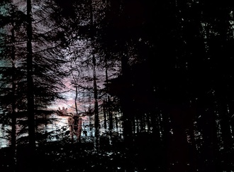 
                                                            lars vegas denmark 14