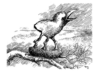 
                                                            roland topor france 46