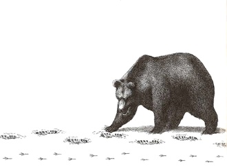 
                                                            claude serre france 52