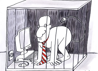 
                                                            biratan porto brazil 69