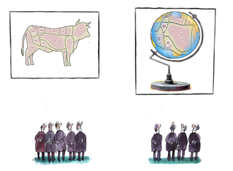 
                                                            pavel constantin romania 37